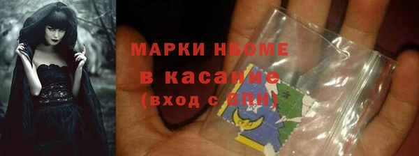 сатива Вяземский