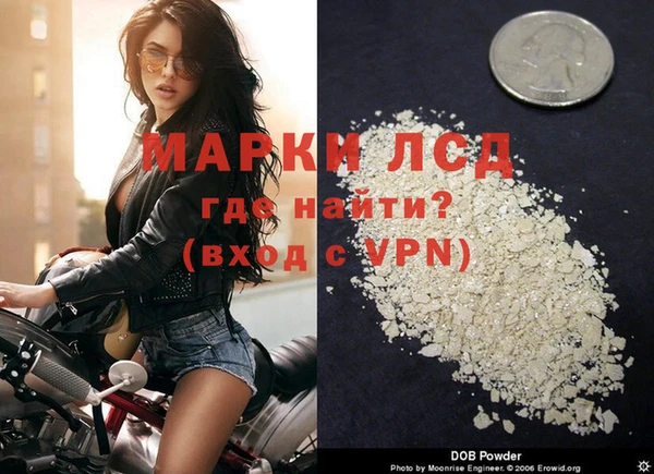 сатива Вяземский