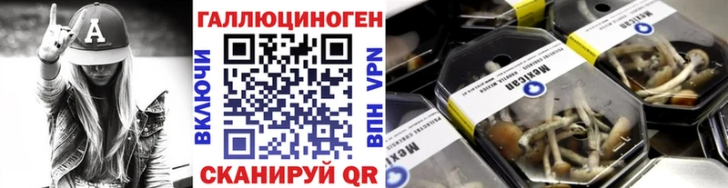 Псилоцибиновые грибы мицелий  Калининск 